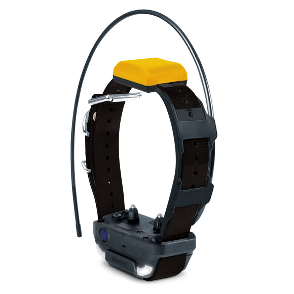 Dogtra Pathfinder 2 Track and Train Collar